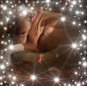 Meet your Posher, Pauline